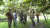 La prefecta subrogante de Imbabura, Mar&iacute;a Gabriela Jaramillo, visita una de las granjas en donde se cultiva granadilla en la comunidad Cazarpamba.