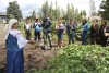 Exposici&oacute;n de plantas medicinales en el Jard&iacute;n Etnobot&aacute;nico, una de las paradas de la Ruta del Conocimiento.