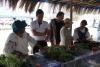 Acto de entrega de implementos para los productores agr&iacute;colas de la comunidad Cotama, por parte de las autoridades de la Prefectura.