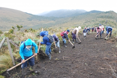 Los comuneros participan activamente en los trabajos de mantenimiento del camino cortafuegos, en Nueva Am&eacute;rica, cant&oacute;n Pimampiro. 